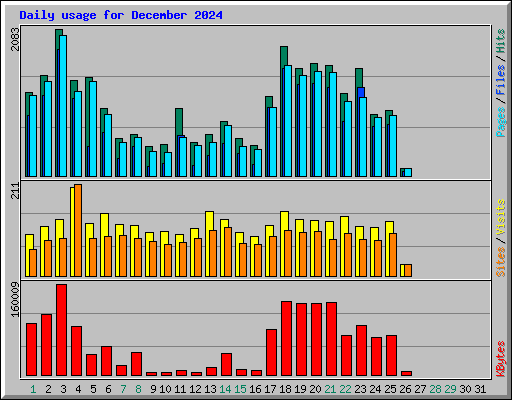 Daily usage for December 2024