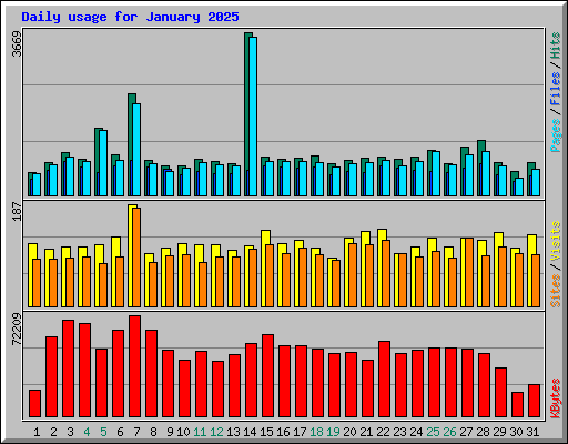 Daily usage for January 2025