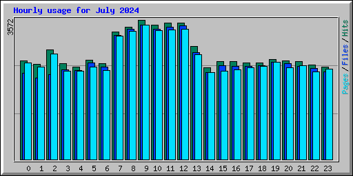 Hourly usage for July 2024