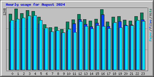 Hourly usage for August 2024