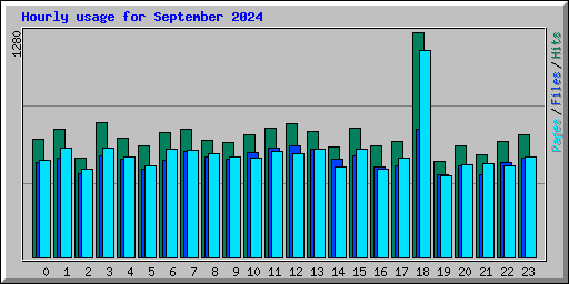 Hourly usage for September 2024