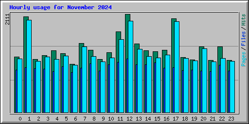 Hourly usage for November 2024