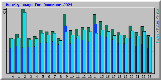 Hourly usage for December 2024