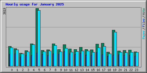 Hourly usage for January 2025