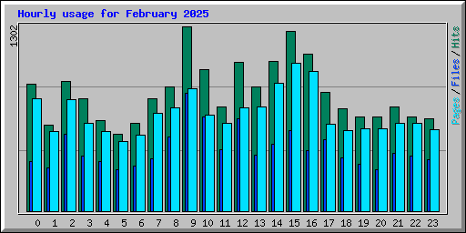 Hourly usage for February 2025