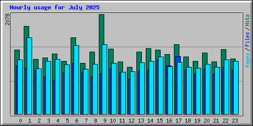 Hourly usage for July 2025