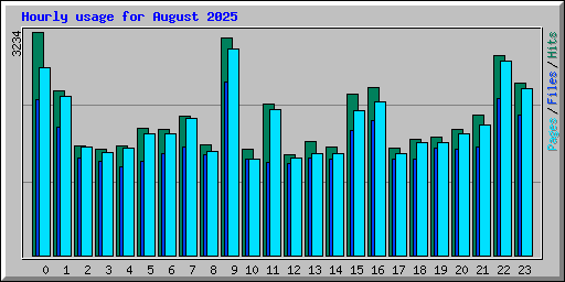 Hourly usage for August 2025