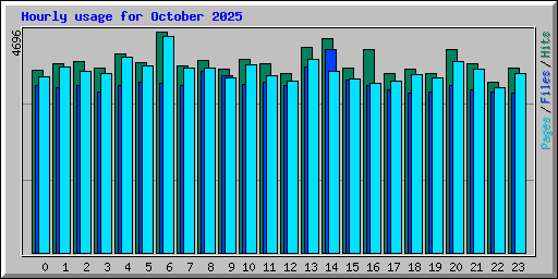 Hourly usage for October 2025