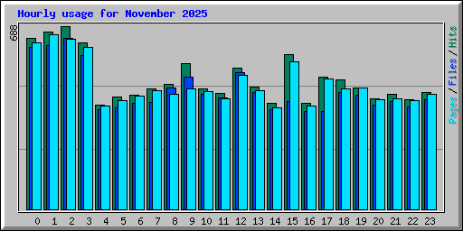 Hourly usage for November 2025