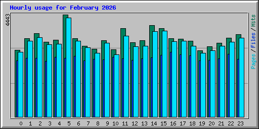 Hourly usage for February 2026